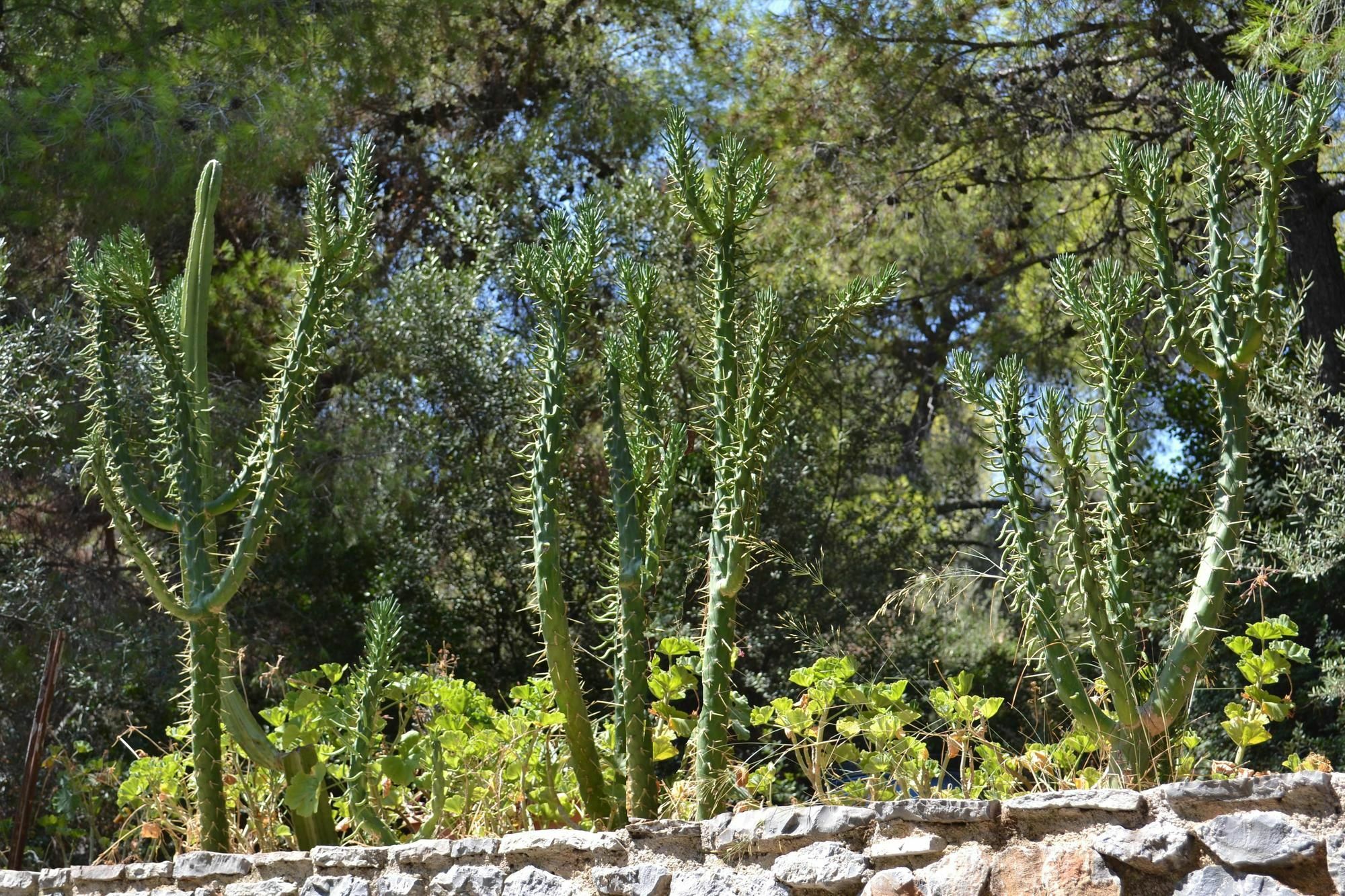 Panorama Póros